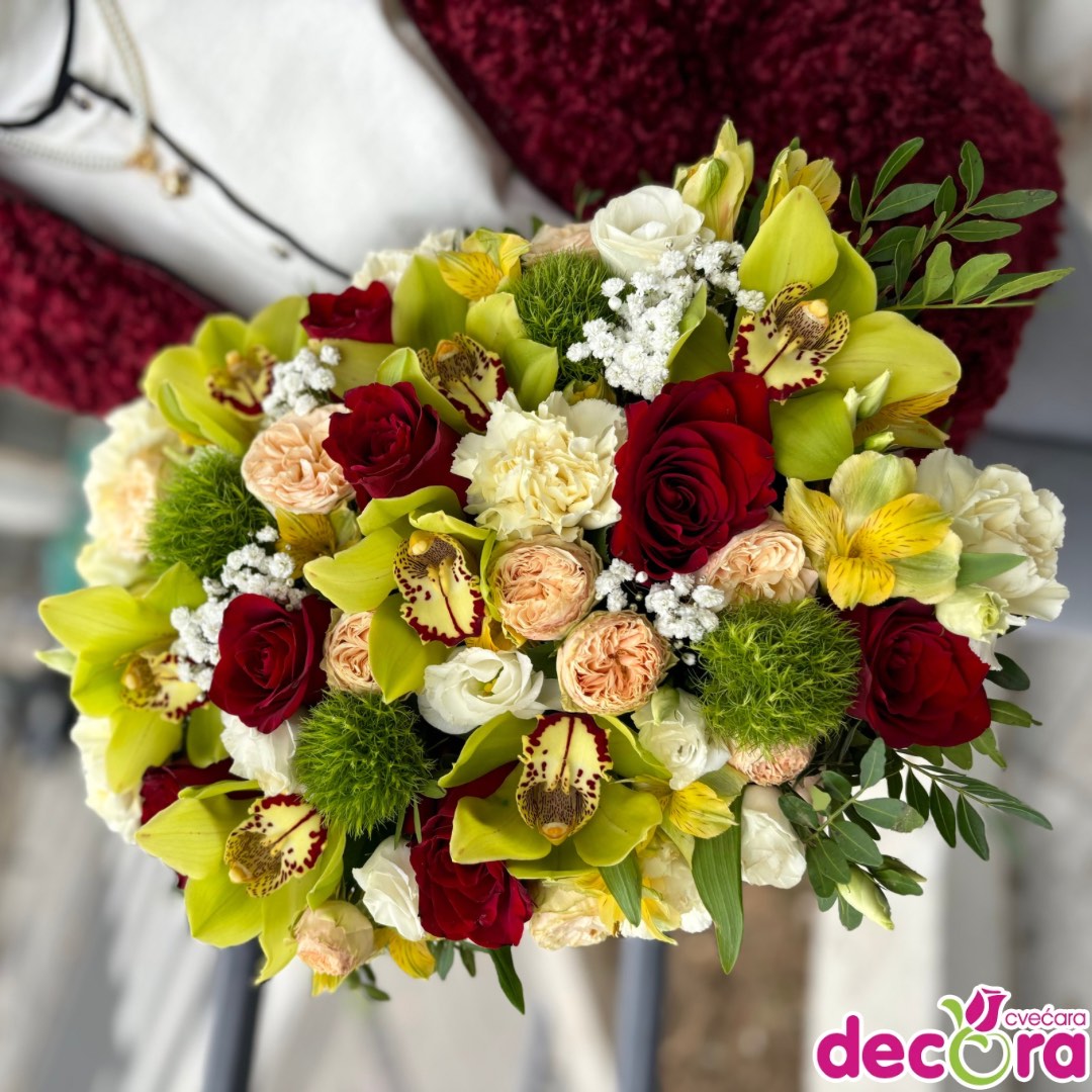 viber_slika_2025-01-05_14-06-52-295