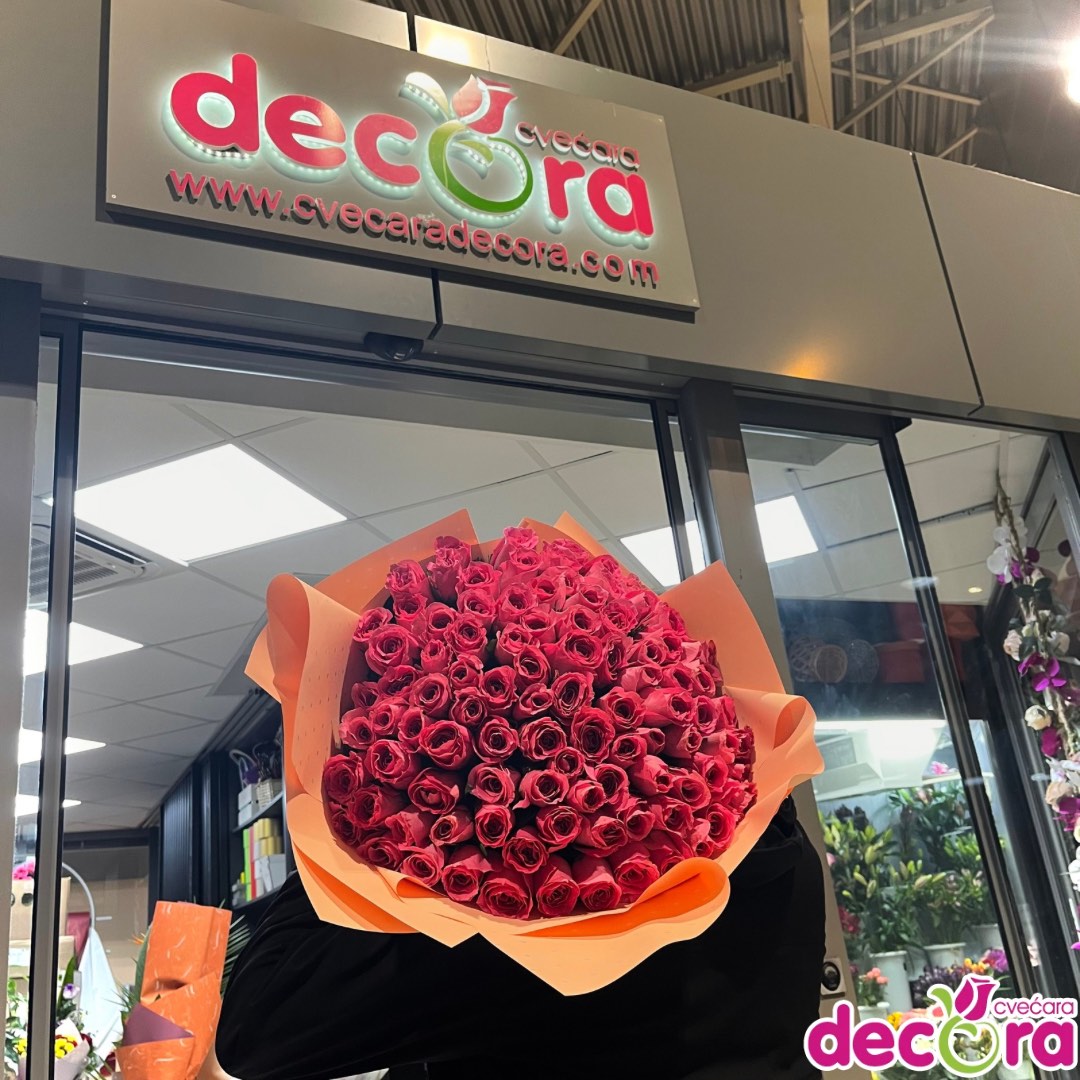 viber_slika_2025-01-05_14-06-54-602