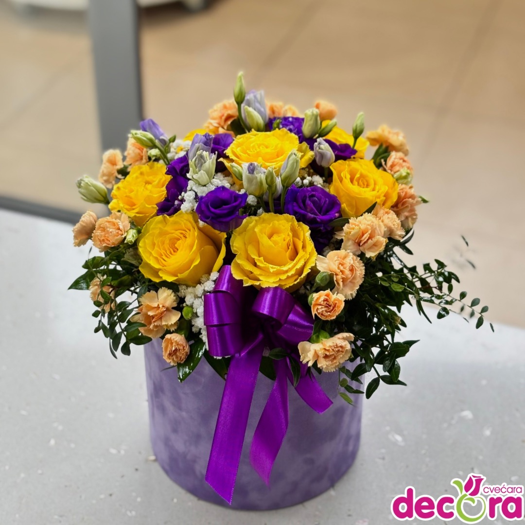 viber_slika_2025-01-05_14-21-22-458