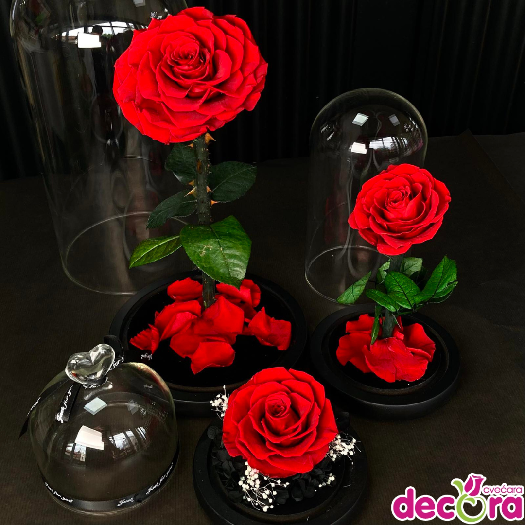 Green-Watercolor-Background-Instagram-Post-2