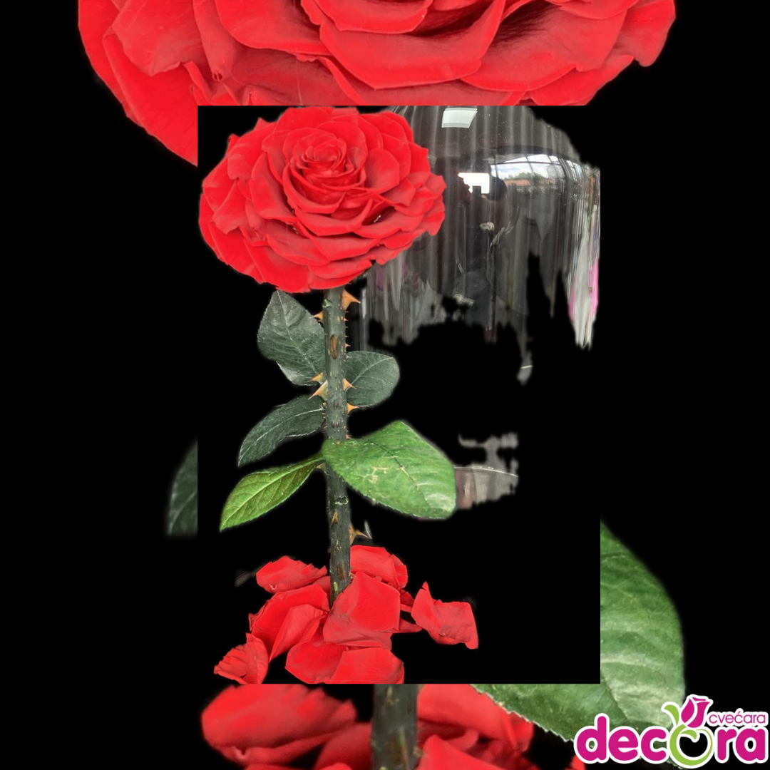 Green-Watercolor-Background-Instagram-Post-4