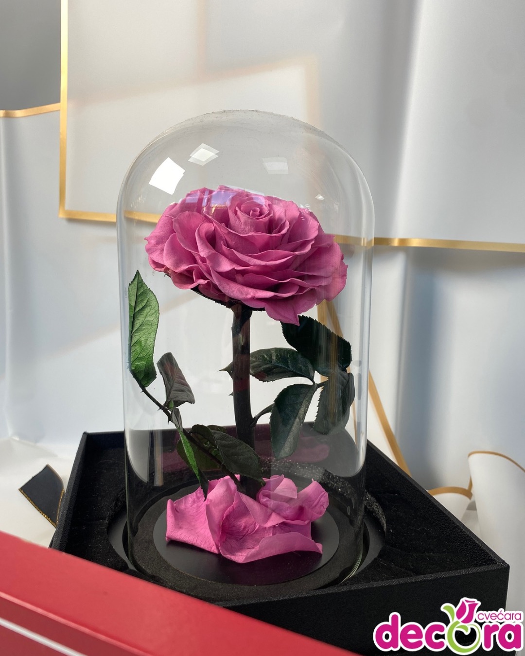 viber_slika_2026-02-08_09-35-39-096