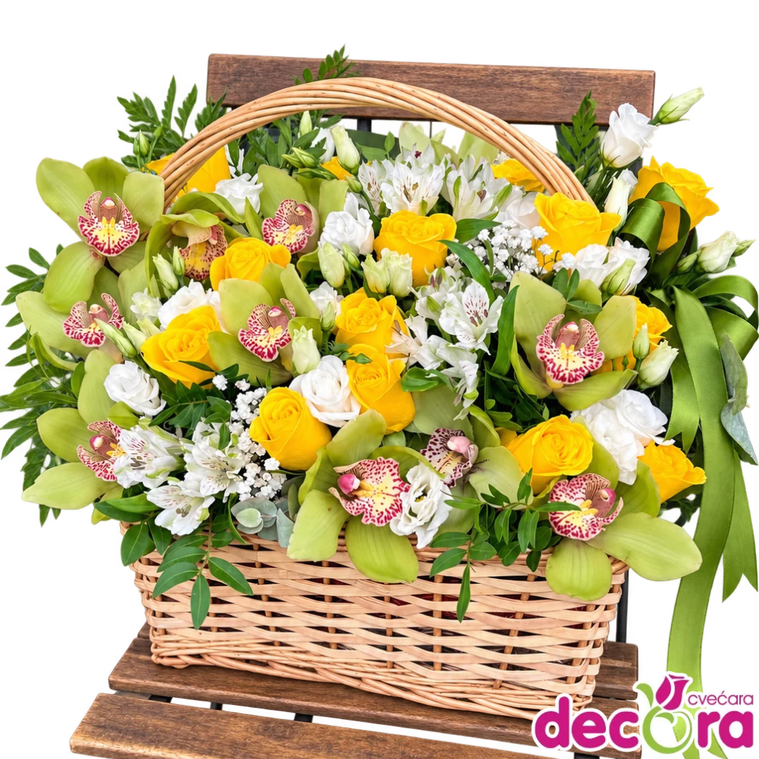 Untitled-Design-3